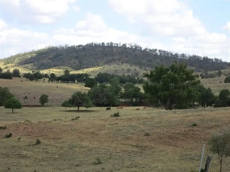 Main view of Homely rural property listing, 351 Mullers Road, Wowan QLD 4702