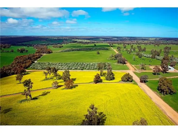 Fifth view of Homely rural property listing, Gleeson Hill 110  ANDERSON Road, Bakers Hill WA 6562