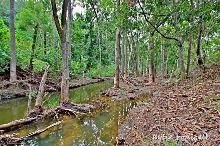 Seventh view of Homely rural property listing, Address available on request