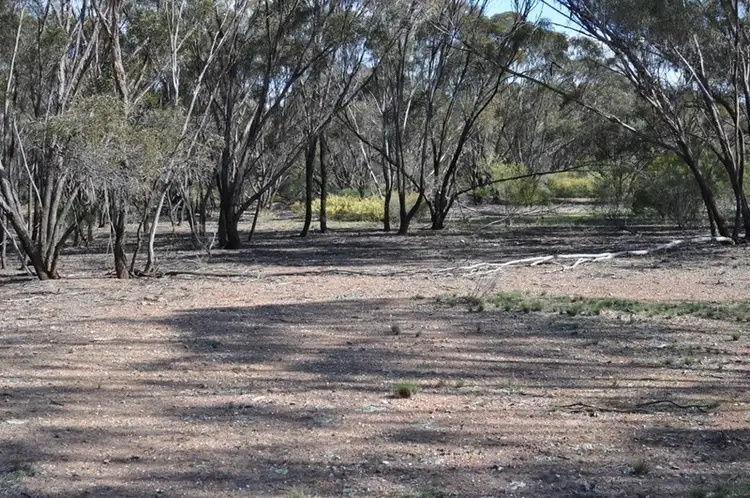 Fourth view of Homely rural property listing, 511 Gap Road, Pullabooka NSW 2810