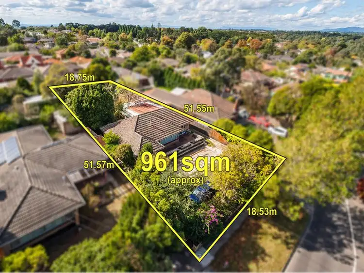 77 Albion Road, Box Hill VIC 3128