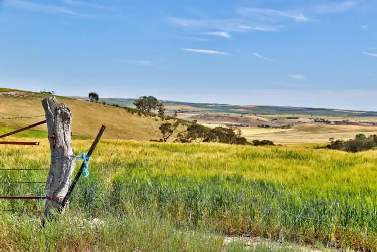 Fifth view of Homely rural property listing, "Twin Valleys" Yacka - Andrews Road, Yacka SA 5470