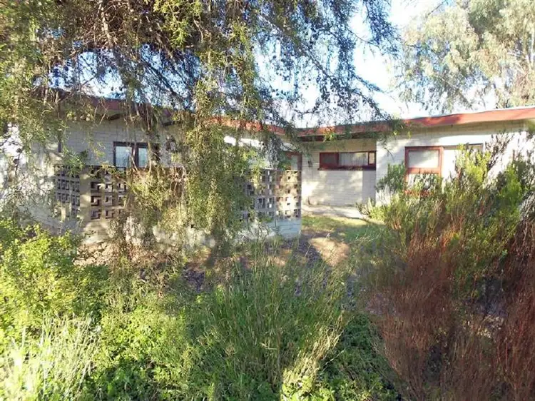 64 Venn Avenue, Bordertown SA 5268