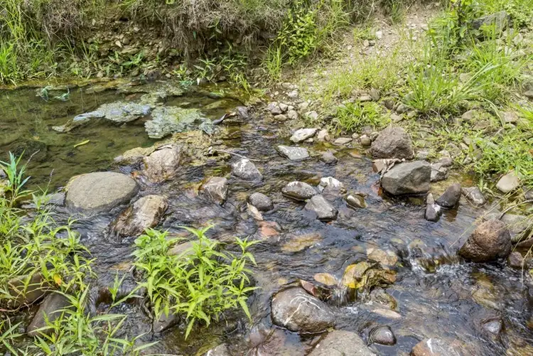 Sixth view of Homely rural property listing, Lot 3 Booka Road, Upper Crystal Creek NSW 2484