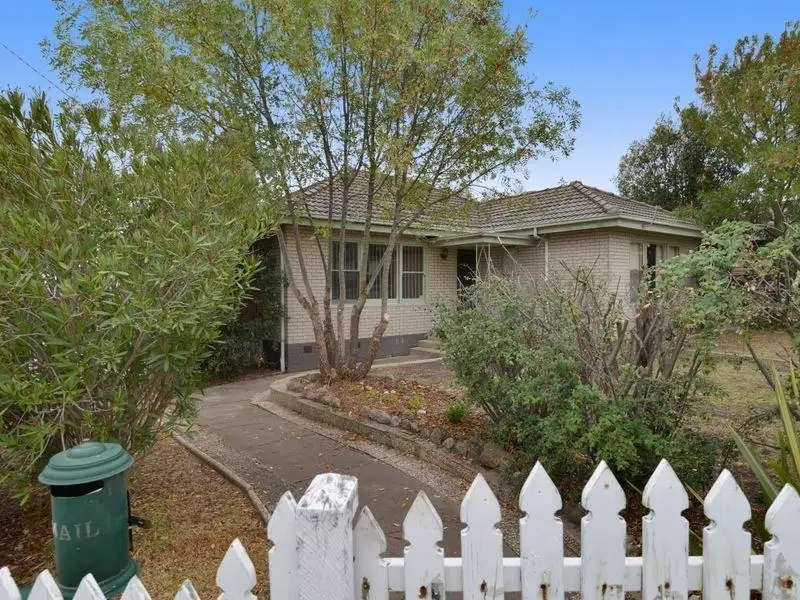 Main view of Homely house listing, 19 Apex Avenue, Belmont VIC 3216