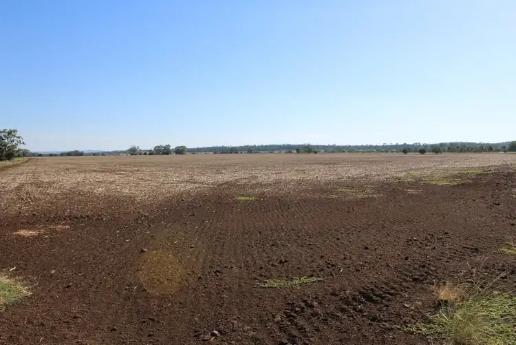 Sixth view of Homely rural property listing, " Brooklyn, Gravesend NSW 2401