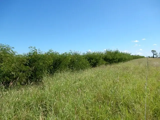 Main view of Homely rural property listing, Address available on request