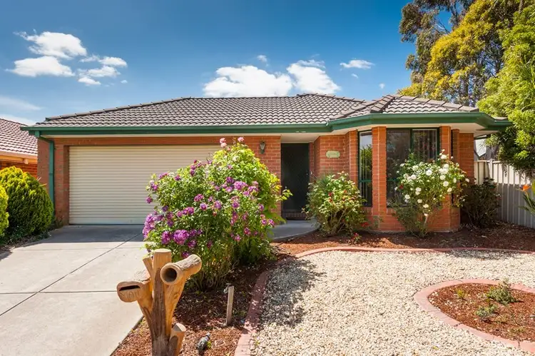 Main view of Homely house listing, 7 Maple Place, Craigieburn VIC 3064