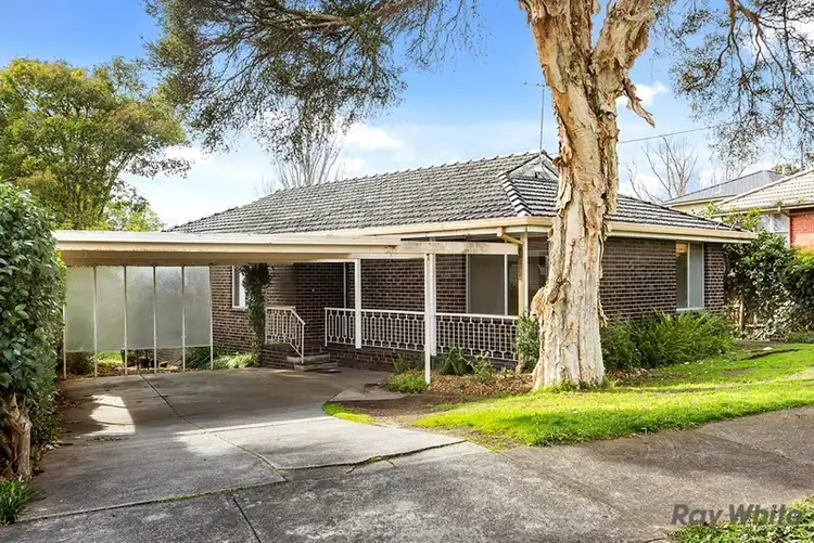 3 Alberta Avenue, Box Hill North VIC 3129