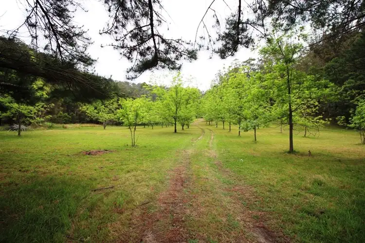 374 Boree Valley Road, Laguna NSW 2325