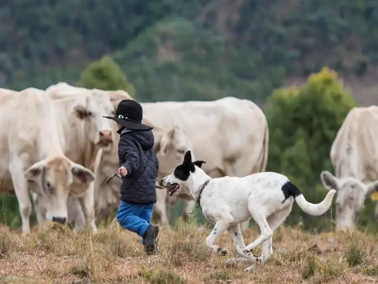 Sixth view of Homely land listing, Address available on request