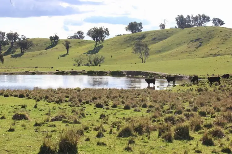 Third view of Homely rural property listing, Rosalie Hume Highway, Tarcutta NSW 2652