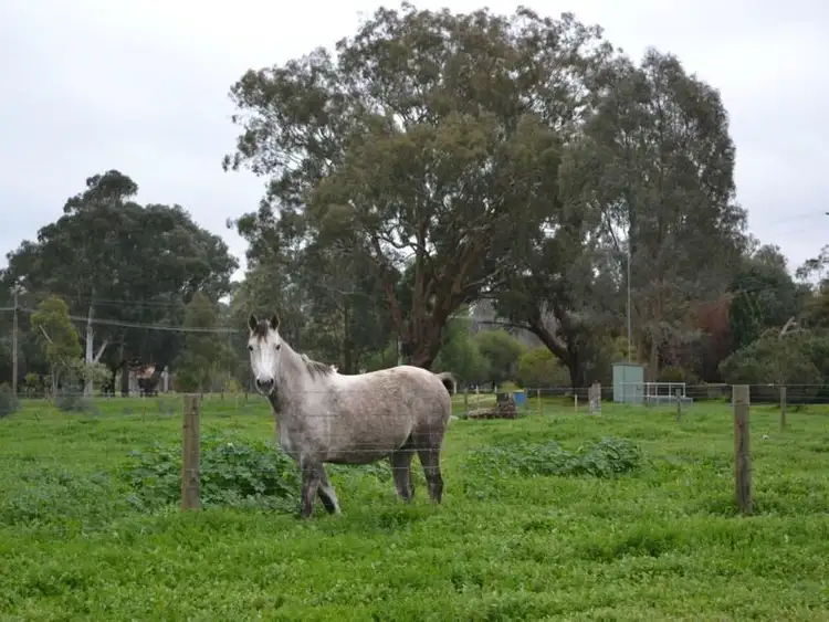 Seventh view of Homely house listing, Address available on request