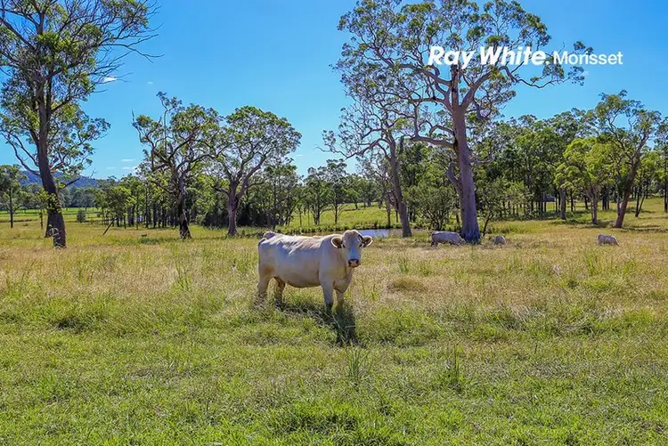 Sixth view of Homely rural property listing, 175 Manhire Road, Wyee NSW 2259