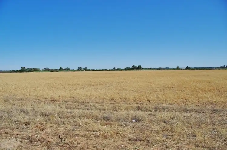 Lot 45 Ibis Road, Renmark SA 5341