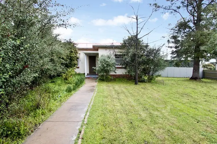 1 Donoughmore Grove, Hectorville SA 5073
