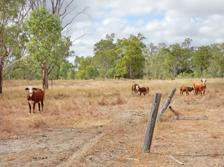 Sixth view of Homely rural property listing, 1541 Coonambula Road, Coonambula QLD 4626