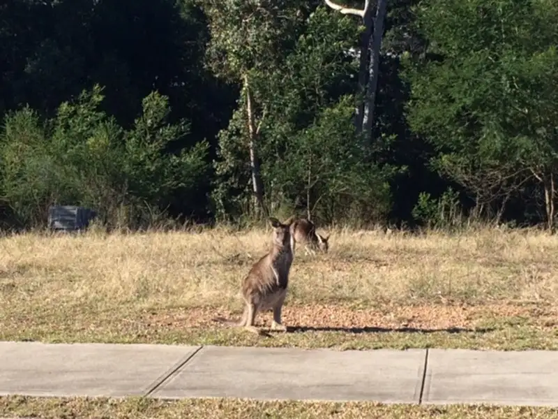 Main view of Homely land listing, 29 Courtenay Crescent, Long Beach NSW 2536