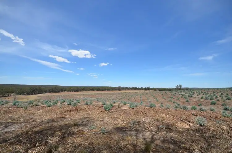 Sixth view of Homely rural property listing, "Rowan" Back Raglan Road, Beaufort VIC 3373