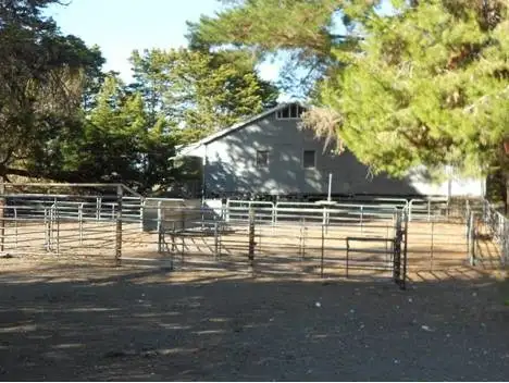 Second view of Homely rural property listing, 2397 Naracoorte Road, Bordertown SA 5268