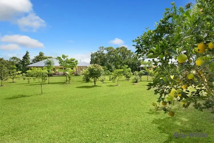 Third view of Homely rural property listing, Lot 1 Gray Road (Cnr Brown Rd and Phillip Gray Rd), Green Hill QLD 4865