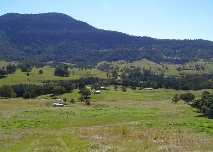 Second view of Homely rural property listing, 187 Tyalgum Creek Road, Tyalgum Creek NSW 2484