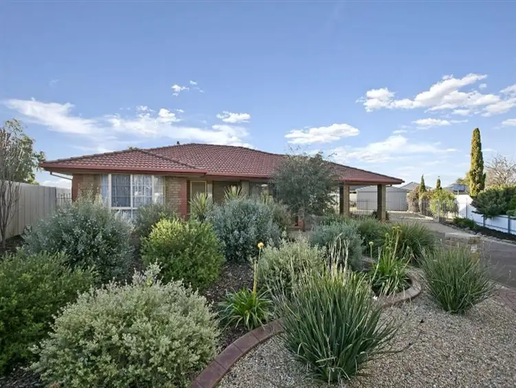 10 Blandy Court, Munno Para West SA 5115