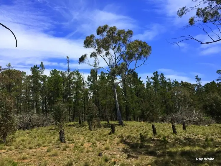 Sixth view of Homely rural property listing, 160 Nerriga Road, Braidwood NSW 2622