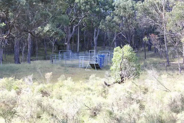 Second view of Homely rural property listing, 21727 New England Highway, Dalveen QLD 4374