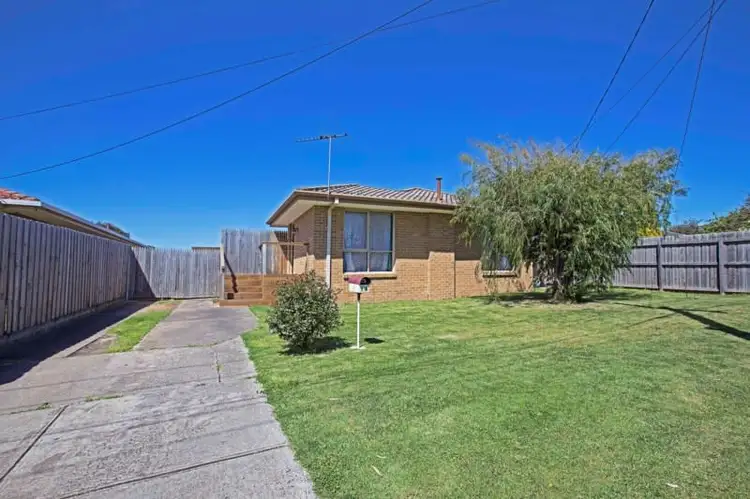 13 Hereford Drive, Belmont VIC 3216