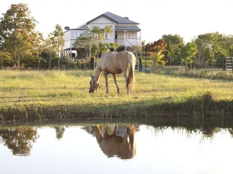 Second view of Homely rural property listing, 56-62 Fairydale Road, Welcome Creek QLD 4670