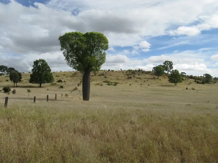 1471 Giligulgul Road, Wandoan QLD 4419