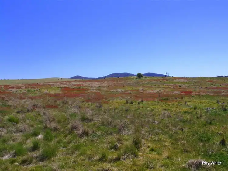 Third view of Homely rural property listing, 318 Lot 2 Larbert Road, Braidwood NSW 2622