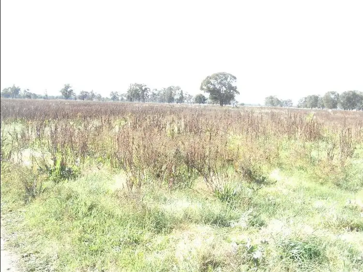 Third view of Homely land listing, 181 - 189 Hume Street, Howlong NSW 2643