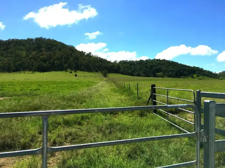 Third view of Homely rural property listing, 0 Owens Creek Loop Road, Gargett QLD 4741
