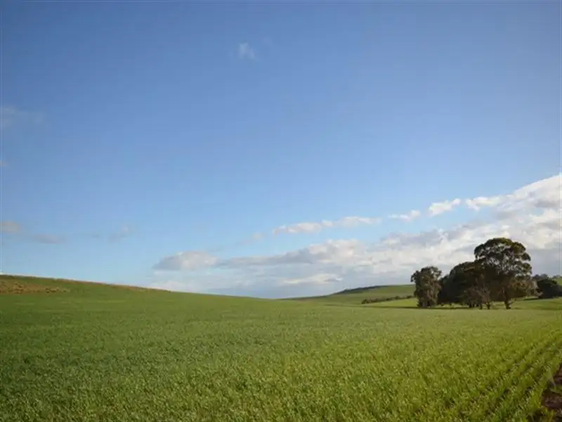 Main view of Homely rural property listing, Various Secs Windy Loop Road, Yacka SA 5470