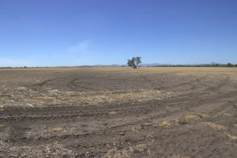 Main view of Homely rural property listing, .COOMA LEA CALADONIA Road, Baradine NSW 2396