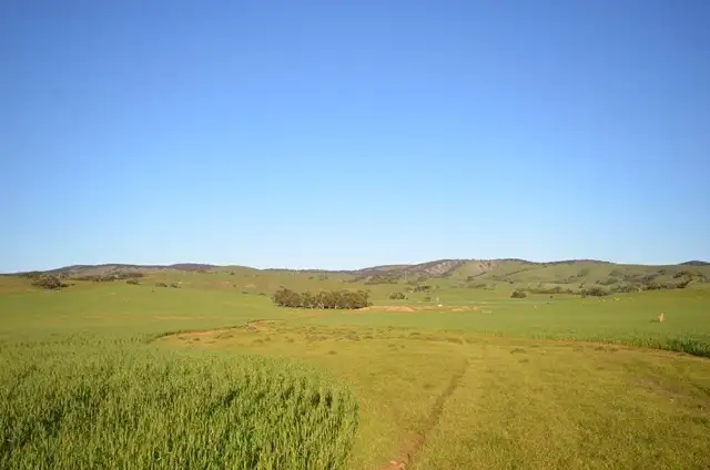 Fourth view of Homely rural property listing, "Rex's" Worlds End Highway via, Robertstown SA 5381