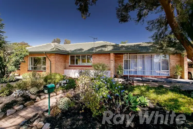 Main view of Homely house listing, 79 Quinlan Avenue, Pasadena SA 5042