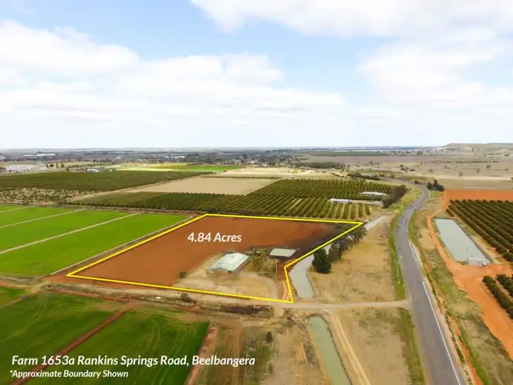Main view of Homely rural property listing, Farm 1653A Rankins Springs Road, Beelbangera NSW 2680