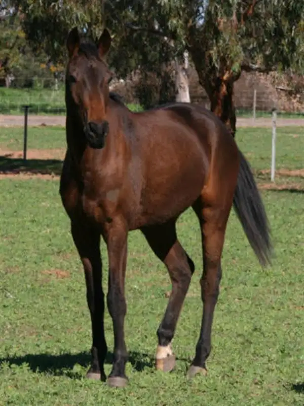 Second view of Homely land listing, Lot 293 Sadler Way, Deepdale WA 6532