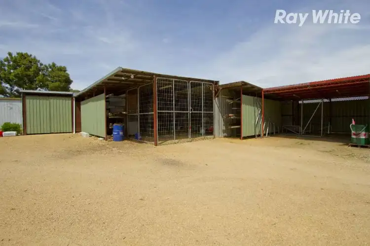 Seventh view of Homely rural property listing, 149 Pioneer Drive, Jindera NSW 2642