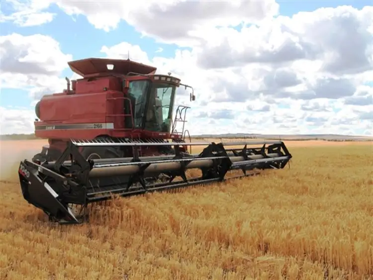 Second view of Homely rural property listing, Section 31 Wudinna Road, Darke Peak SA 5642