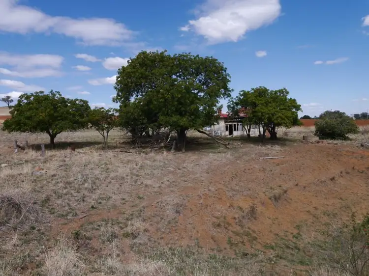 53 Bennett Road, Woodstock NSW 2793