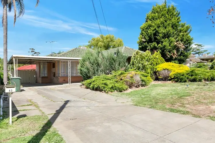 Main view of Homely house listing, 43 Padbury Road, Gilles Plains SA 5086