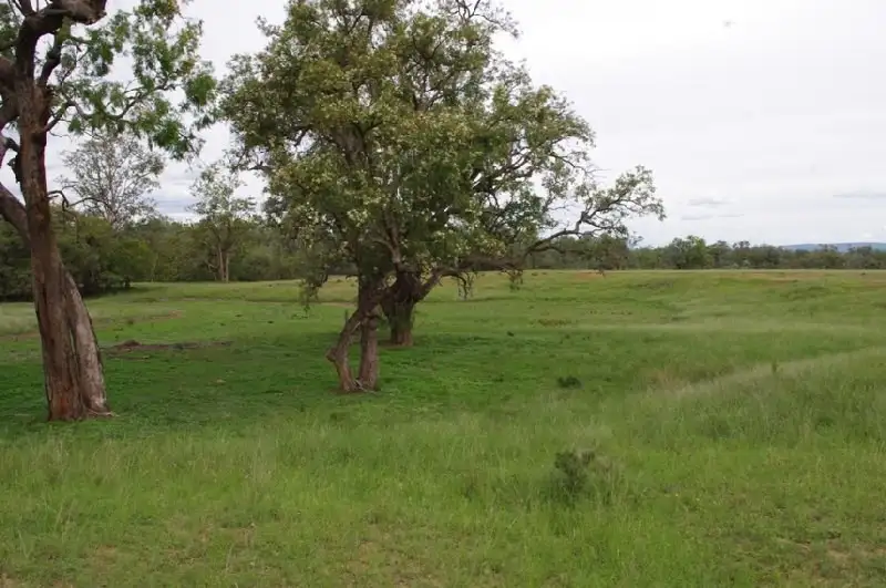 Main view of Homely rural property listing, 2000 'Bronco' Elcombe Road, Bingara NSW 2404