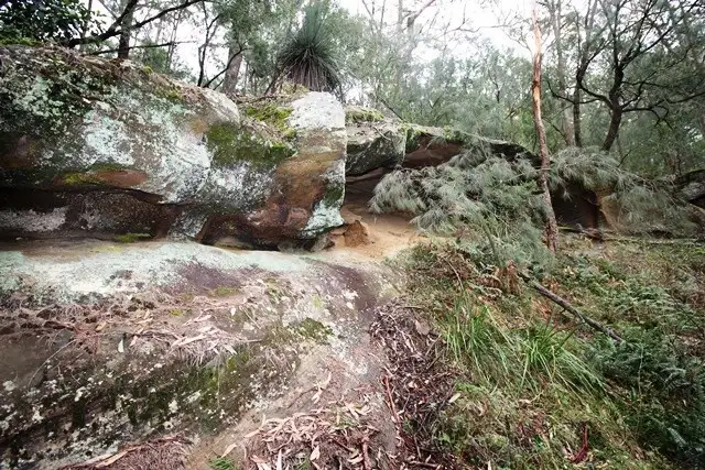 680 Brokenback Trail, Cedar Creek NSW 2325