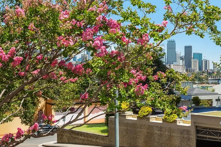 Fourth view of Homely apartment listing, 2/20 Thornton Street, Darling Point NSW 2027