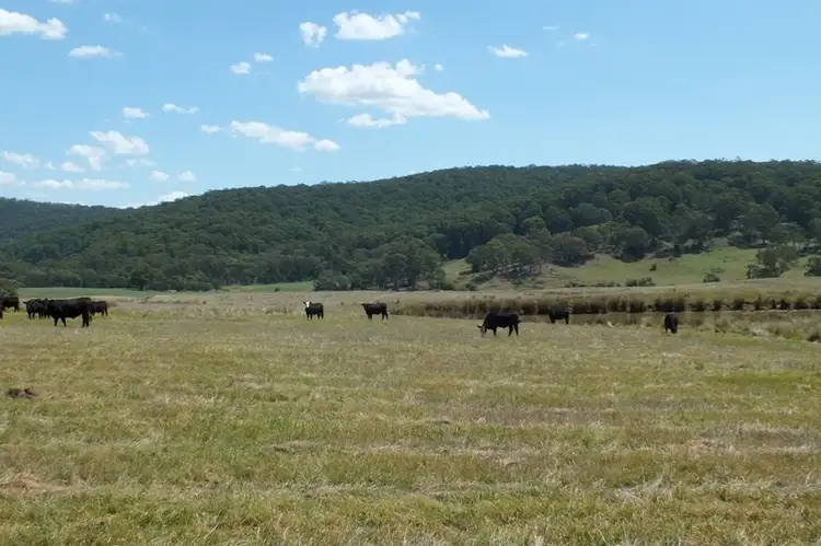 Second view of Homely rural property listing, Lot 1 189 Norman Lea Road, Hampton NSW 2790