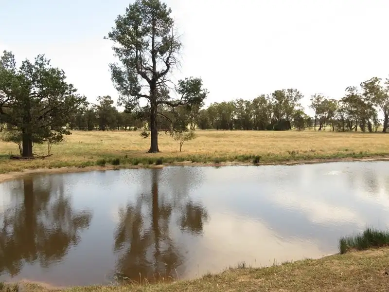 Main view of Homely rural property listing, Lot 2 DP826752 Grogan Road, Stockinbingal NSW 2725